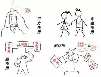 弱力出现最典型的一个场景就是β衰变。