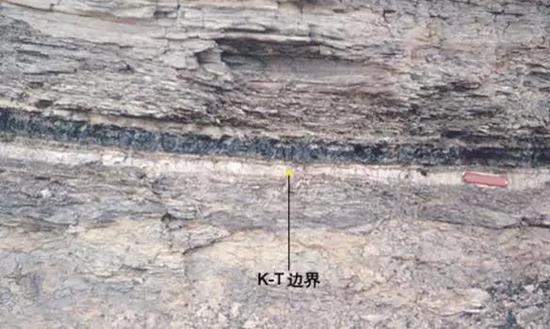 图6&nbsp;&nbsp;西藏拉萨岗巴地区白垩系和第三系的界面层