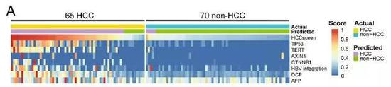  ▲HCCscreen在测试队列中的预测结果与确诊结果一致，可以区分肝细胞癌和非肝细胞癌（图片来源：参考资料[1]）