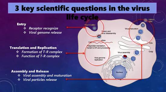 有关病毒的三个科学问题