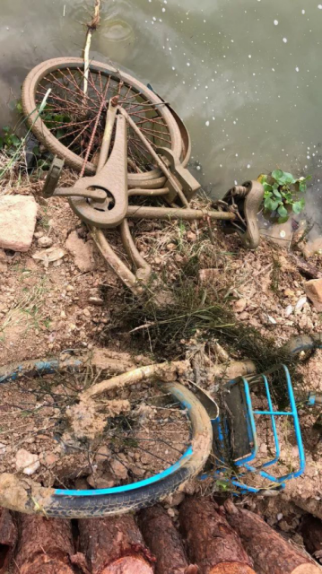 被恶意抛进沟里的共享单车