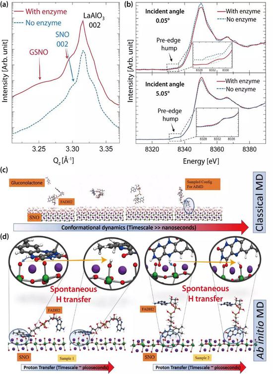 （a）通过X射线衍射谱（XRD）发现新相GSNO的生成。（b）同步辐射X射线吸收谱（XAS）发现了镍能带结构的改变。（c）和（d）基于分子动力学对反应过程在热力学和动力学层次的计算模拟。
