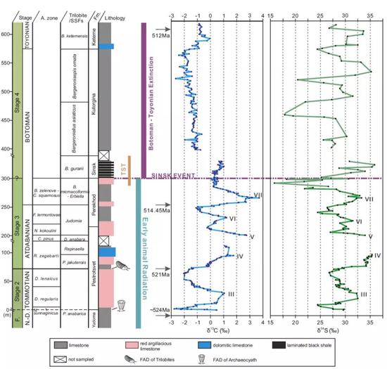 西伯利亚寒武纪早期碳和硫同位素演化曲线