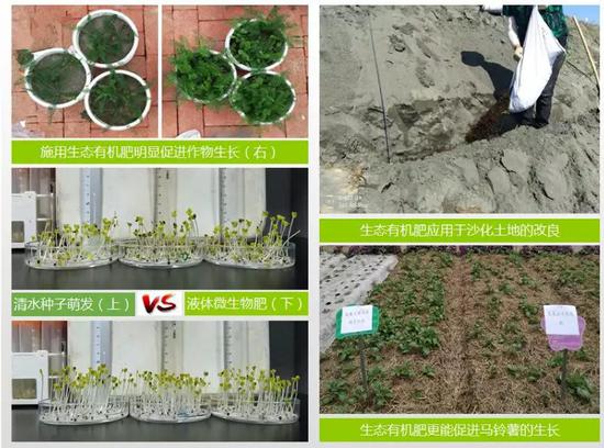 生态有机肥的效果