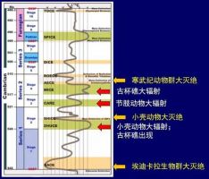 这种熟悉的气体 掌控着寒武纪生命的生与死